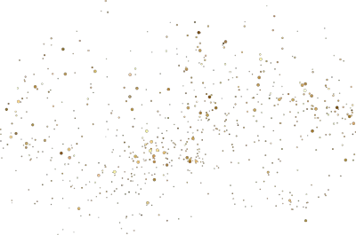 Paillettes Paillettes